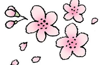 かわいい梅の花の手書きイラスト えんぴつと画用紙