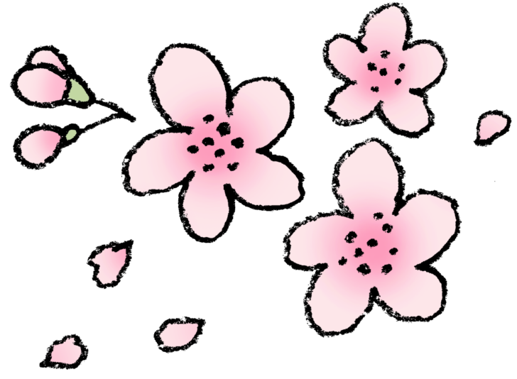 桜の花の手書きイラスト | えんぴつと画用紙